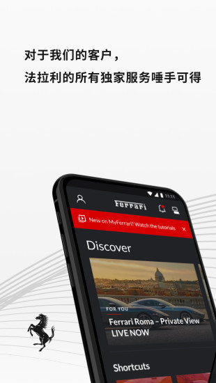 icon